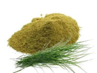 Arugampul Powder - அருகம்புல் பொடி (Cynadon dactylon)