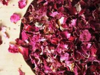 Rose Petals - ரோஜா இதழ் ( Rosa Gallica) No 2