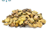 Kadukai Poo - கடுக்காய் பூ (Terminalia Chebula)