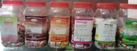 Herbal Candies - மூலிகை மிட்டாய்