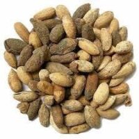 Neem Seed - வேப்பங் கொட்டை