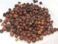 Vai Vilangam - வாய் விலங்கம்(Emblica Ribes Burm)