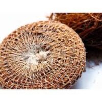 Vettiver Loofah - வெட்டிவேர் பிரஷ்