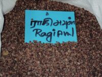 Raagi Avul  -  கேழ்வரகு அவுல்